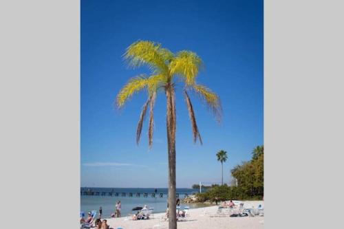 Sea Spray, Studio 114, Beach steps away! pool+WiFi in Ruskin (FL)