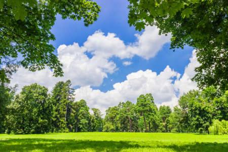 Surrounding environment, Hospedaje y Zona de Camping Pistacho in Villa De Leyva