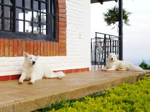 Casa Campestre Miravento