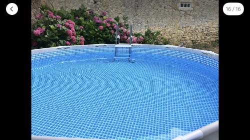 Les deux magnolias in Doulezon