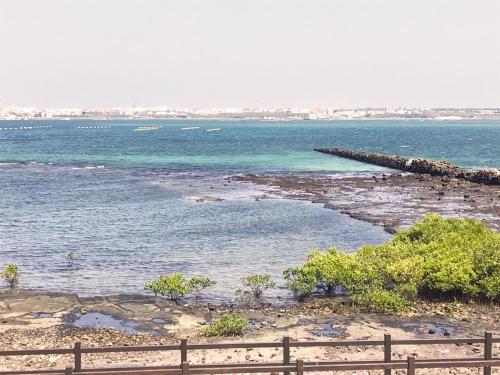 Xingqing Seaview Homestay - 전망
