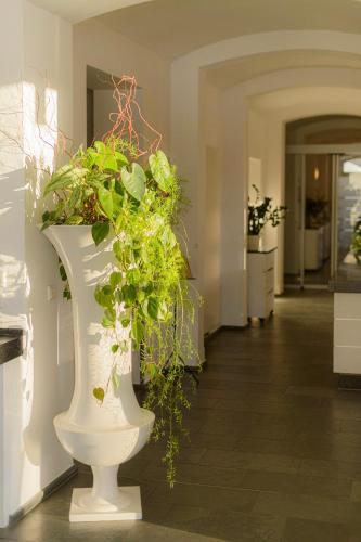 Hotel Am Tiefwarensee - image 3