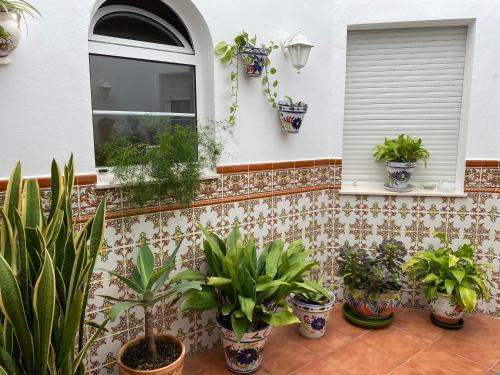 Hotels Image