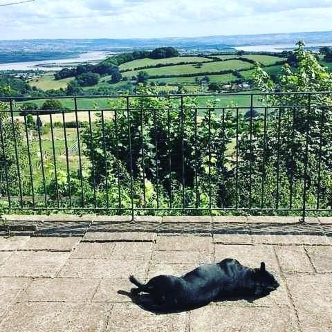 Woodland Barn - Forest Of Dean Home From Home With River Views, , Gloucestershire