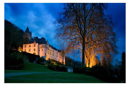 Hôtel Du Château De Chissay