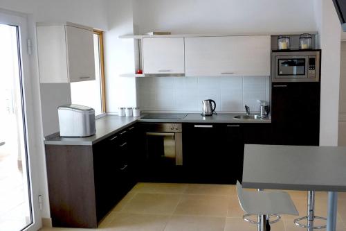 廚房, Luxury Apartment Goja with private pool and Jacuzzi near Dubrovnik in 查普利納
