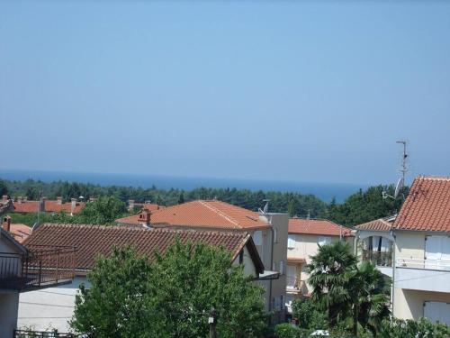 Ferienwohnung in Novigrad mit Meerblick, Terrasse, Klimaanlage, W-LAN (4926-4)