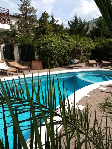 Swimming pool, Blue Lagoon Hotel in Anapa