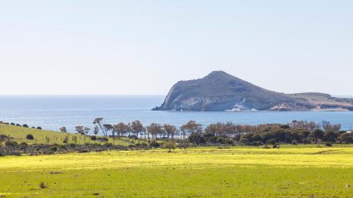 Doña Pakyta - image 6
