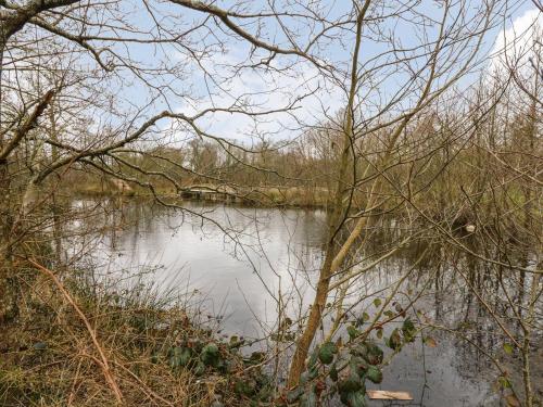 Tynewydd Fields - image 2