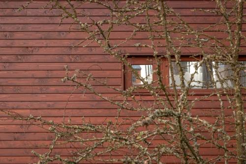 Bungalow B9 - Nature, Beach & River