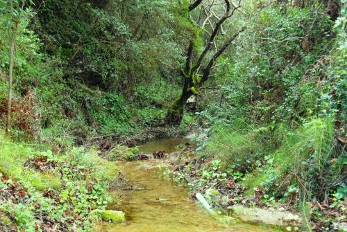 George's Apartments - image 3