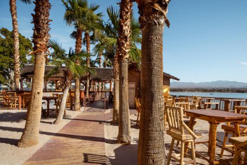 酒吧/高級酒吧, 航海海濱度假村 (The Nautical Beachfront Resort) in 哈瓦蘇湖市 (AZ)