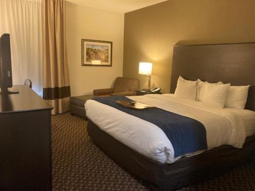Comfort Inn Wings Stadium - image 9