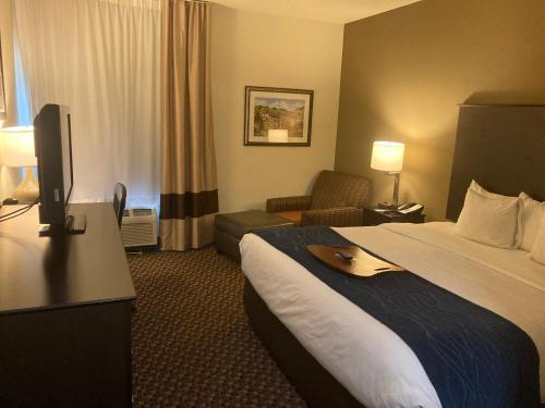 Comfort Inn Wings Stadium - image 14