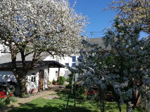 FeWo Thul in Plein, Deutschland