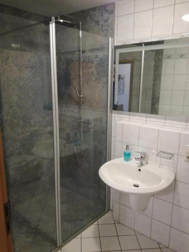 Shower, FeWo Thul in Plein