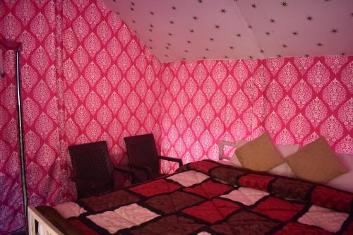 Tirthan village camps
