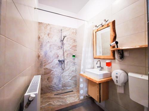 Double or Twin Room image 4