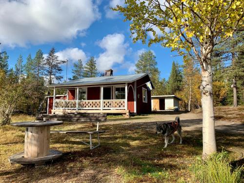 Wilderness and Calmness in Off-grid cabin