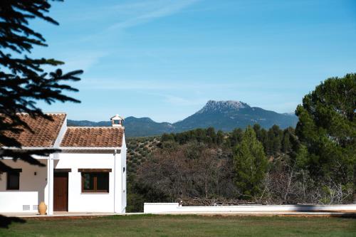 Apartamentos Cortijo Peñardera