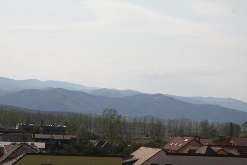 Pensiunea Amso - main image