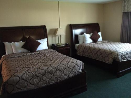 Pacer Inn & Suites Motel - image 8