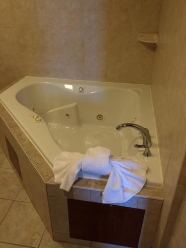 Pacer Inn & Suites Motel - 샤워실