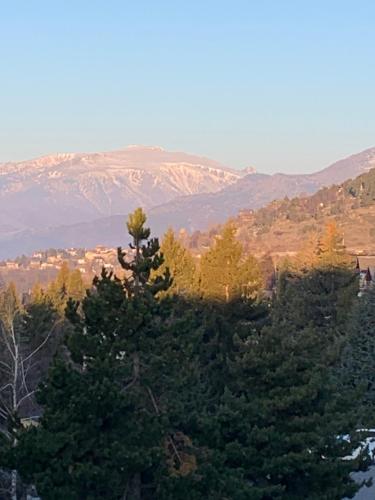 LA PERLE DES CAILLOUX EXCEPTIONNEL et COSY LA PERLE DES CAILLOUX EXCEPTIONNEL et COSY