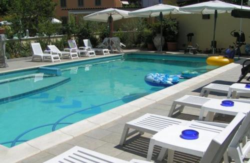 Hotel Flowers - image 13