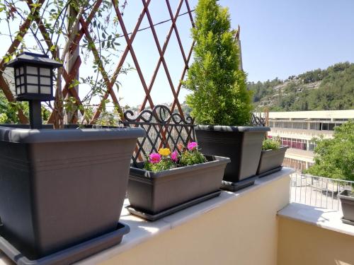 Forest 22 in Kavala
