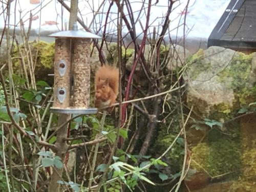 Kirkwirral Guest House and Spa - image 6