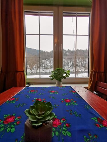 View, Apartament Nad Dunajcem in Sromowce Nizne