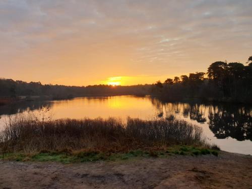 29, Natuurlijk gelegen nabij Efteling en Beekse Bergen, Airco & Privé parkeren inbegrepen!, Oisterwijk (foto 7)