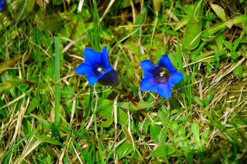 豪斯安雅酒店 豪斯安雅酒店
