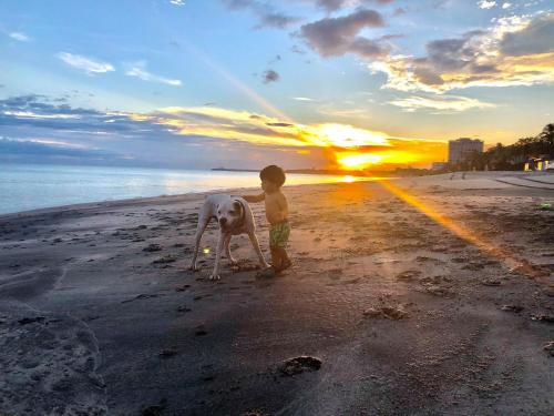 Casa Swell Coronado A unique blend of luxury and nature in the hearth of Coronado