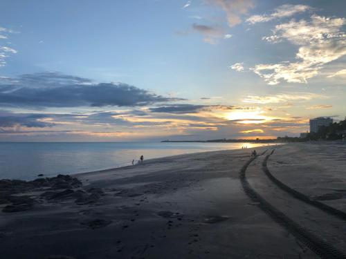 Casa Swell Coronado A unique blend of luxury and nature in the hearth of Coronado