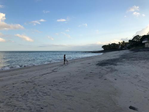 Casa Swell Coronado A unique blend of luxury and nature in the hearth of Coronado