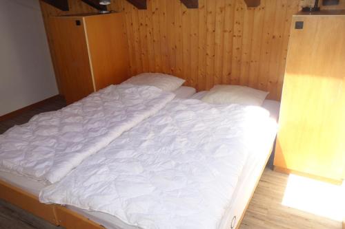 Melezes K SKI LIFT & NATURE apartments - image 14