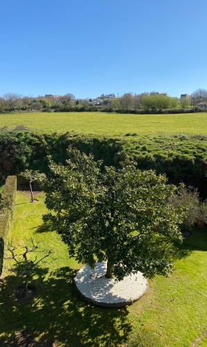  A FINCA DO RIO VELLO in Arzúa