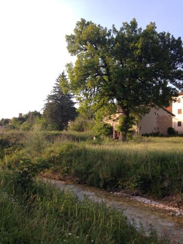 Antica Quercia B&B