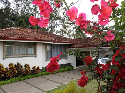 29284376 Terrazas de Golf Boutique Hotel