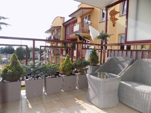 Business Apartment Exclusive Ełk