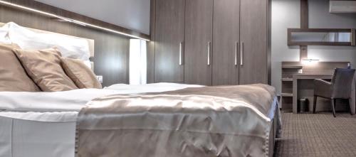 Volcano Spa Hotel - image 10