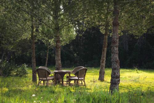 Casa Morna Ibiza Agroturismo - image 13