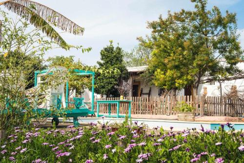 Casa Morna Ibiza Agroturismo - image 6