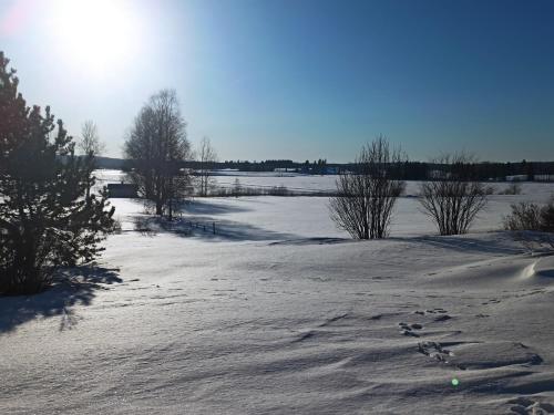 周邊環境, Laukkumäki farm (Laukkumaki farm) in 伊薩爾米
