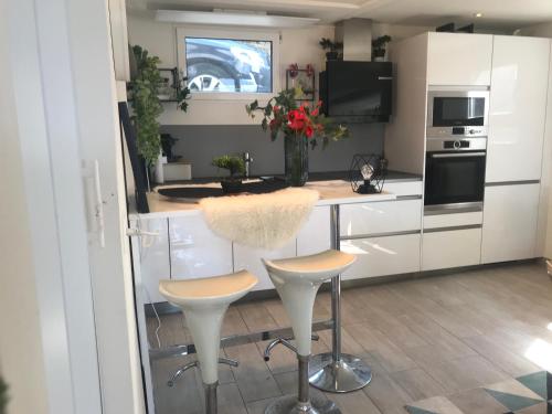 keuken, Petite maison à l'orée des bois vue magnifique sur le lac zenitude et plénitude (Petite maison a l'oree des bois vue magnifique sur le lac zenitude et plenitude) in Belmont-sur-Lausanne