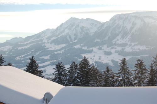 Ferienhaus Albrecht in เอกก์