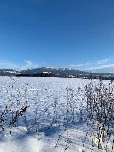 Černý Důl v Krkonoších - Horská Chata se saunou 53